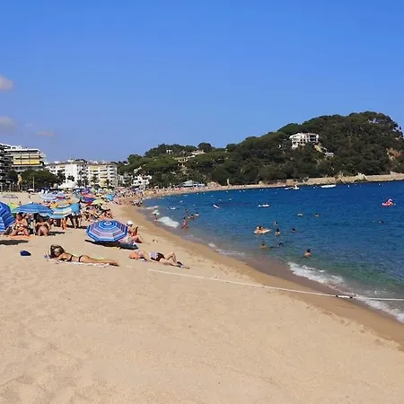 Appartement Fenals Penthouse