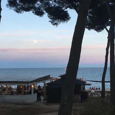 Fenals Penthouse Appartement Lloret de Mar