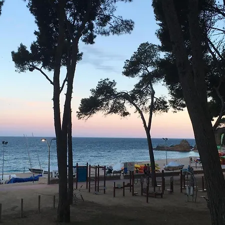 Fenals Penthouse Appartement