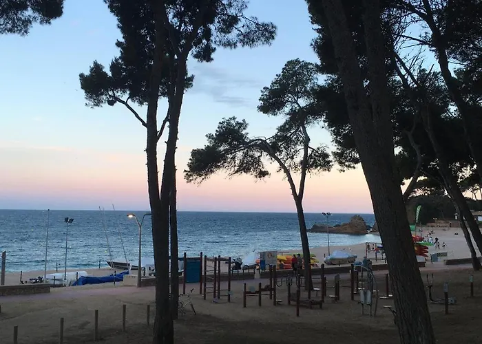 Fenals Penthouse Lägenhet